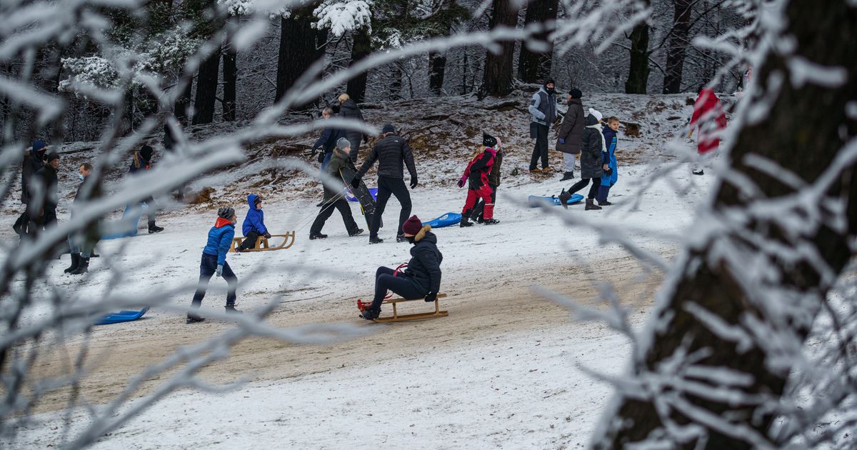 aplinkosaugininkai primena, kokių reikalavimų privalu laikytis